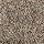 Mohawk Carpet: Softly Elegant II Dried Peat